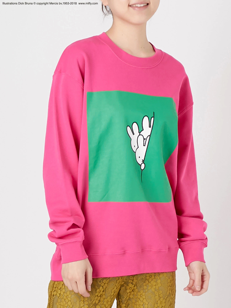 ミッフィートレーナー