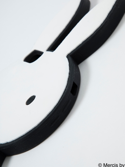 ケースアップ２