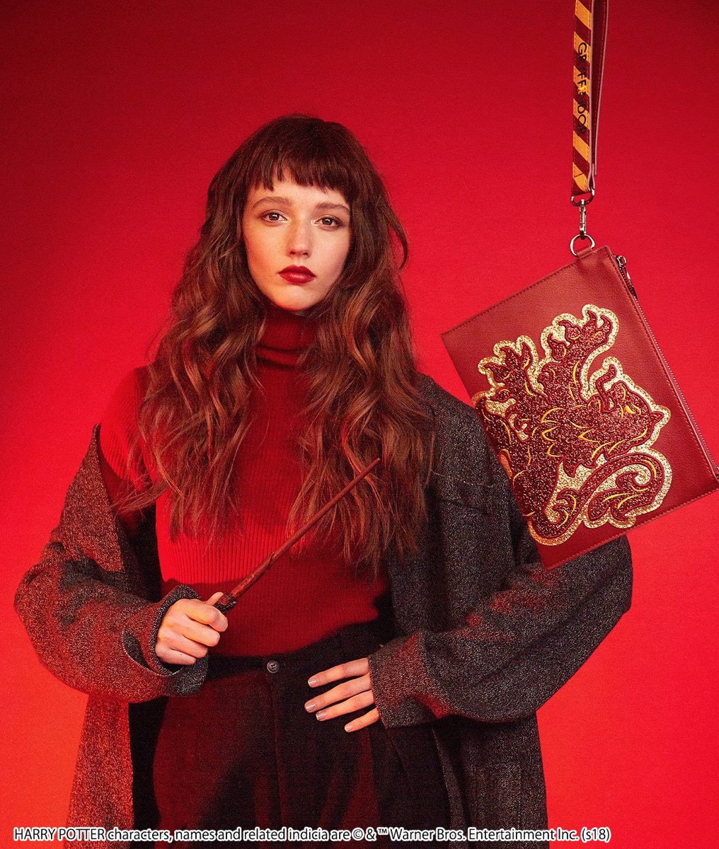 ハリー・ポッター グリフィンドール　ポーチ