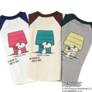 ラグランTシャツ４