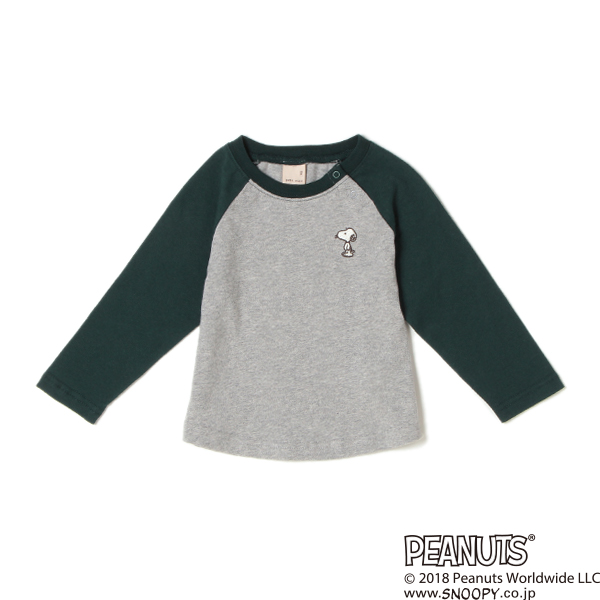 ラグランTシャツ2