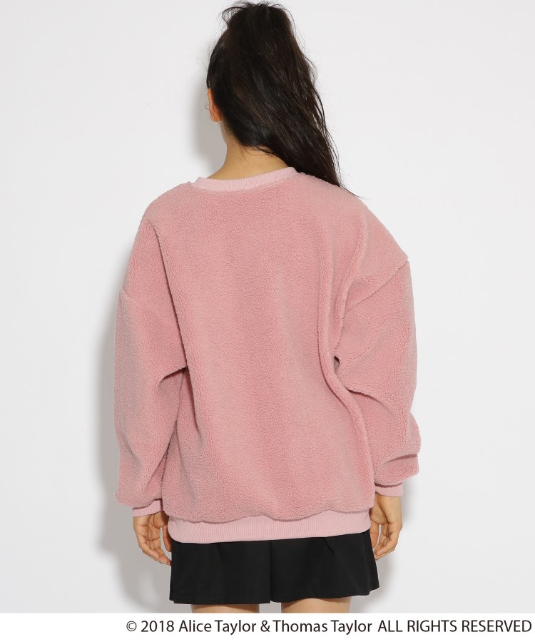 ボアトレーナー4