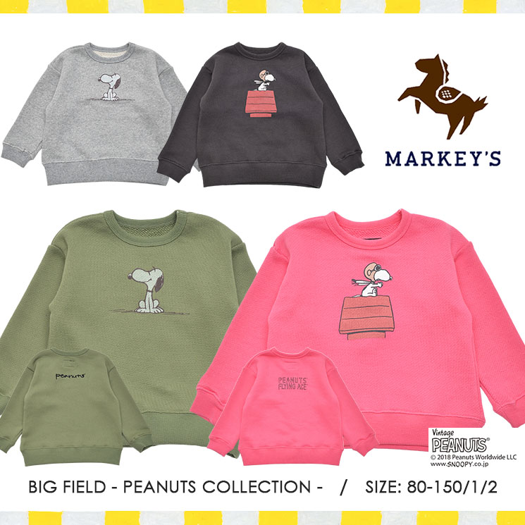 セットイントレーナー