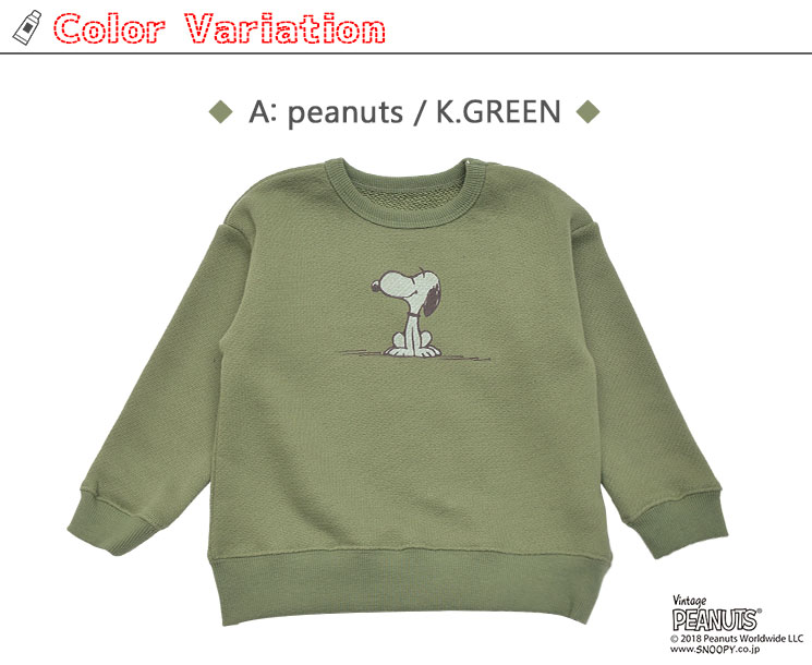 セットイントレーナー３