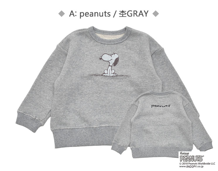 セットイントレーナー４