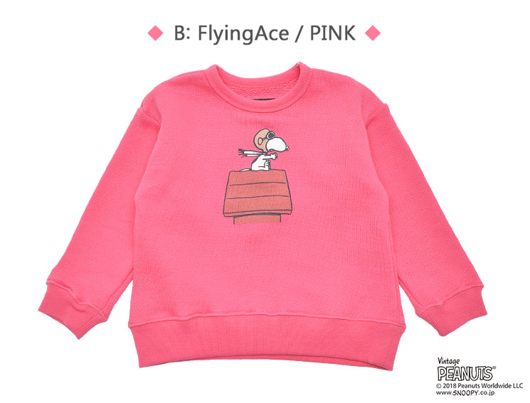 セットイントレーナー５